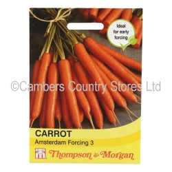 Thompson & Morgan Carrot Amsterdam Forcing 3